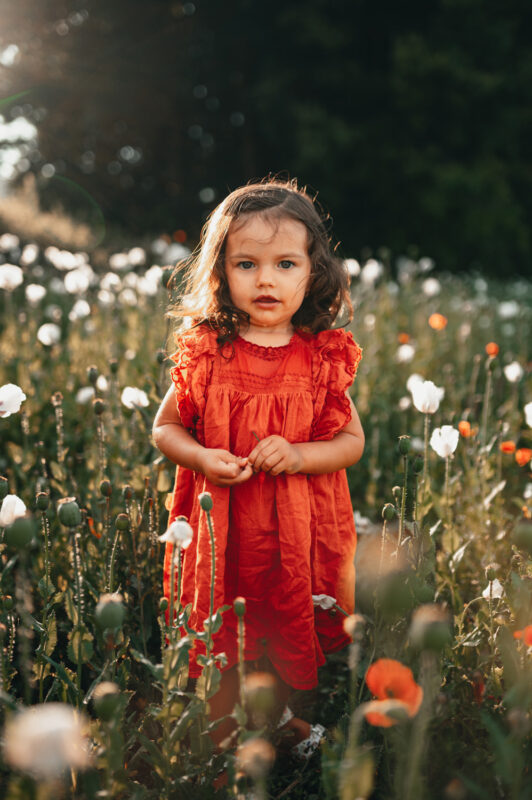 holčička na louce s vlčími máky