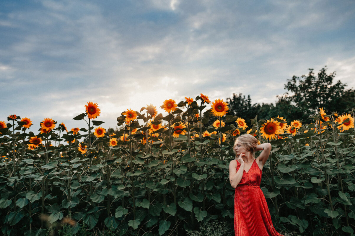 focení ve slunečnicích