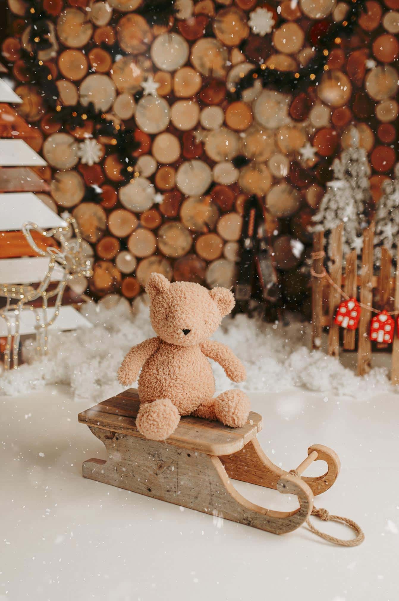 vánoční mini focení praha